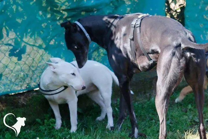 FELICI A CASA MUSIC21