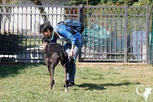 FELICI A CASA MUSIC22