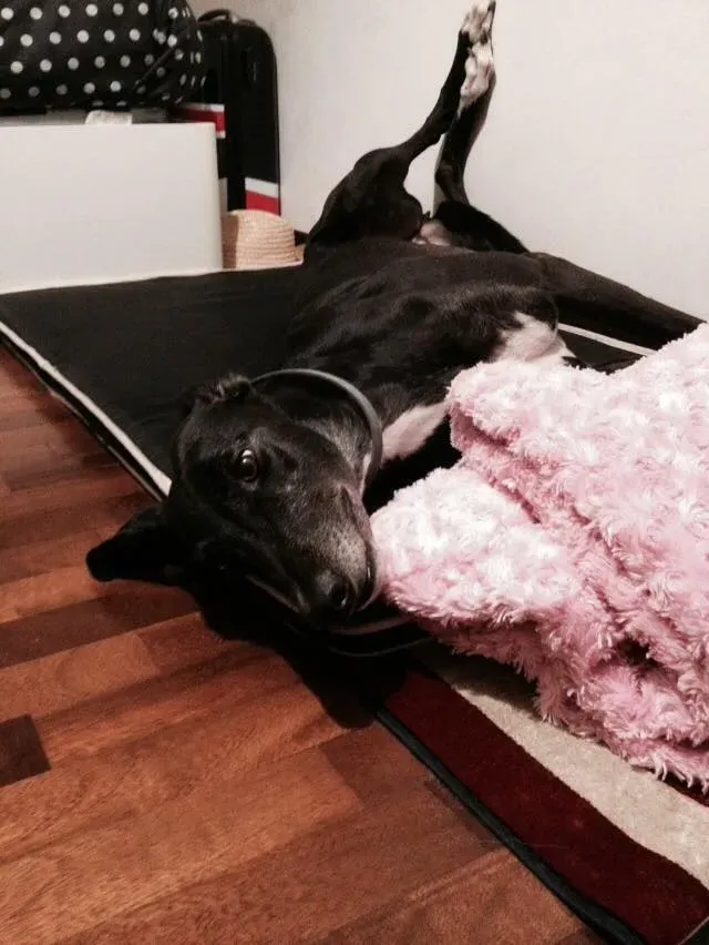 FELICI A CASA MUSIC23