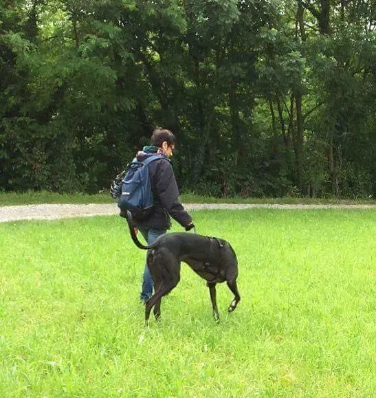 FELICI A CASA MUSIC24