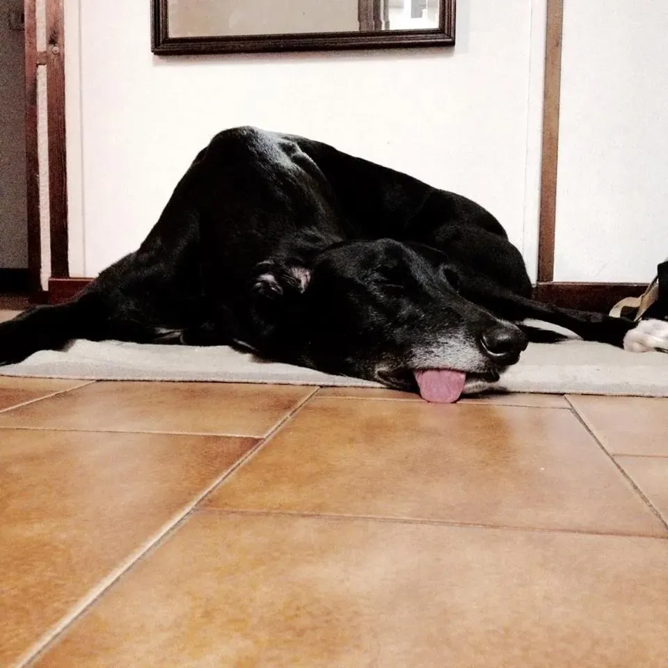 FELICI A CASA MUSIC27