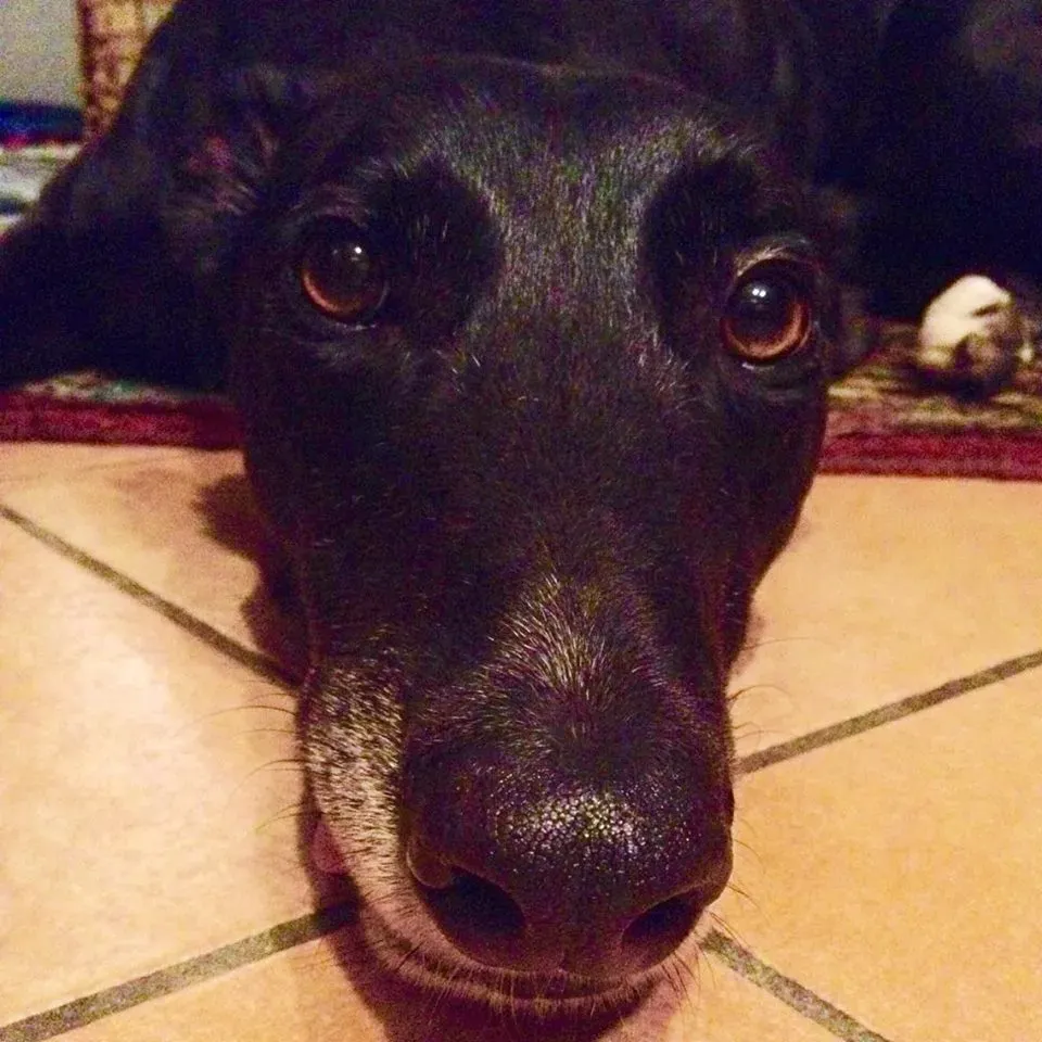 FELICI A CASA MUSIC28