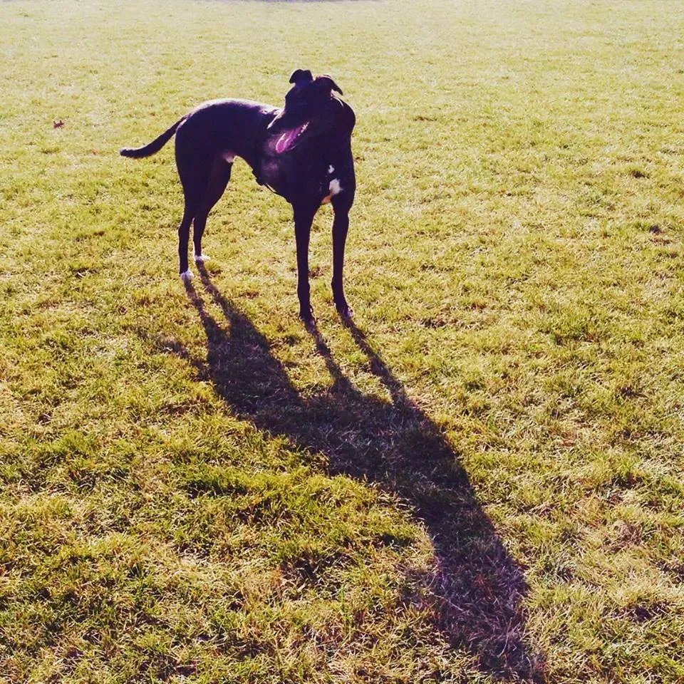 FELICI A CASA MUSIC29