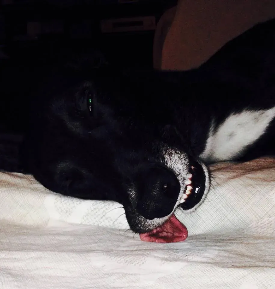 FELICI A CASA MUSIC30