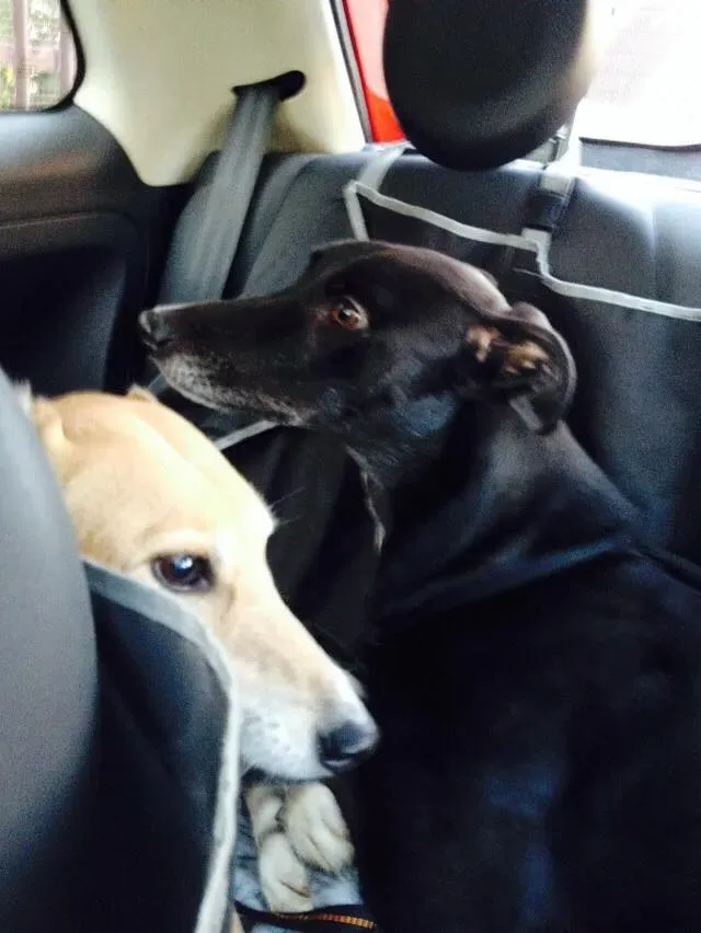 FELICI A CASA MUSIC31