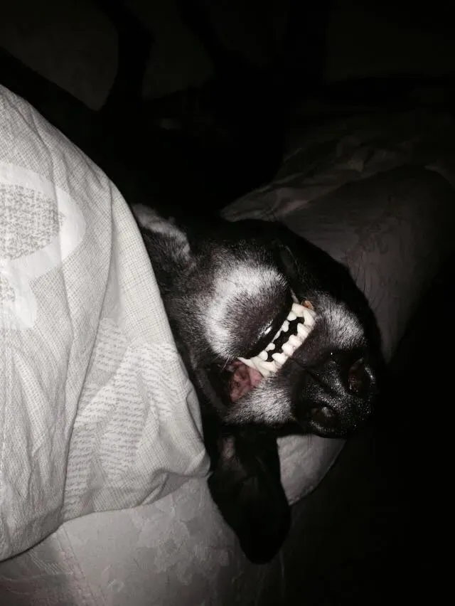 FELICI A CASA MUSIC33