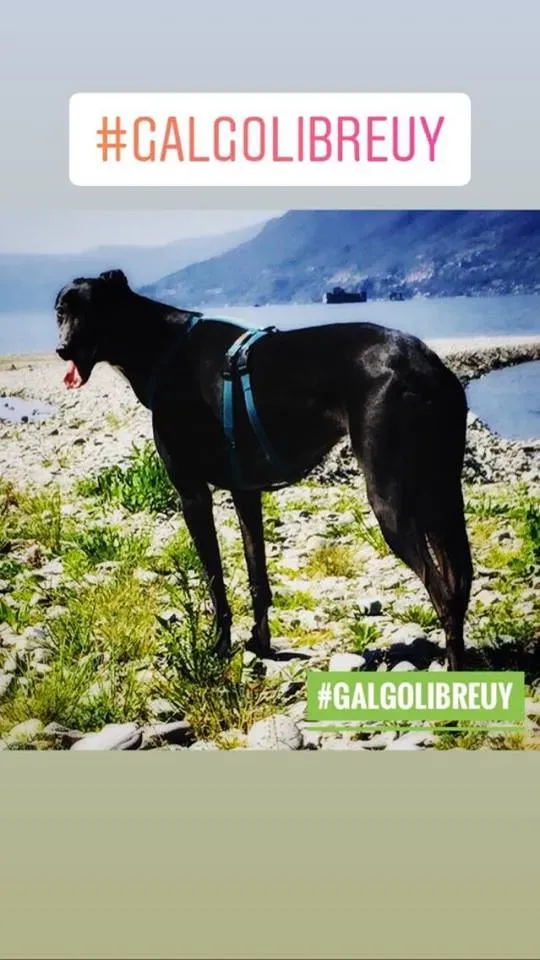 FELICI A CASA MUSIC5