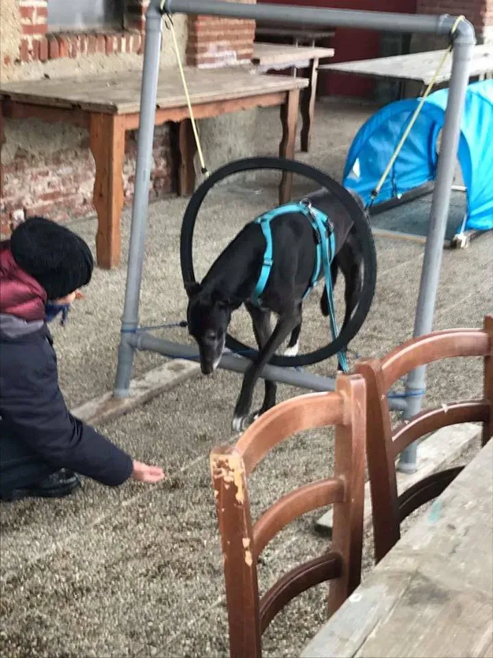 FELICI A CASA MUSIC7