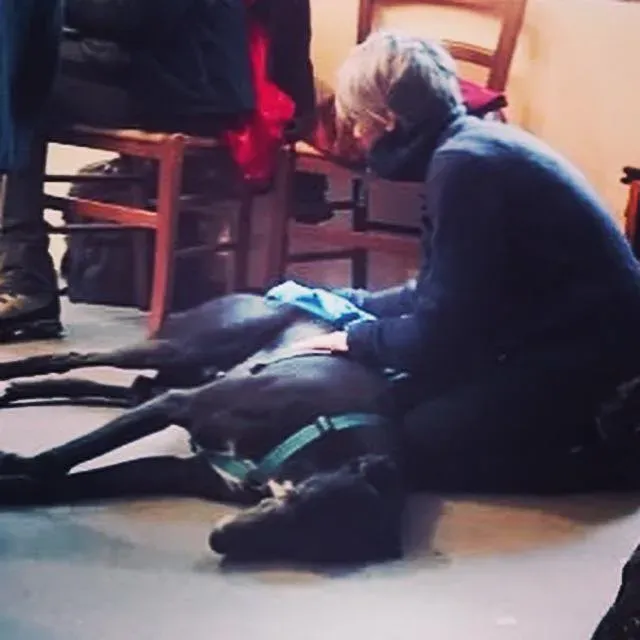 FELICI A CASA MUSIC8