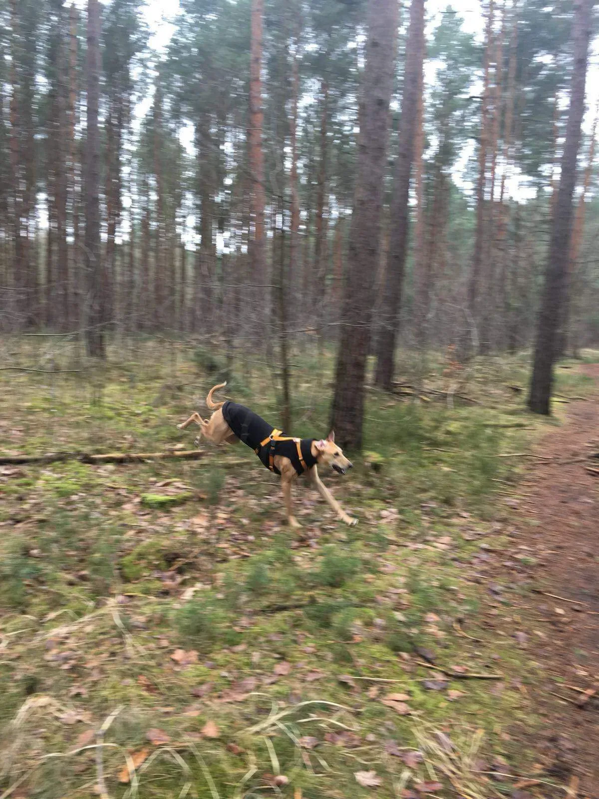 FELICI A CASA PETER 6