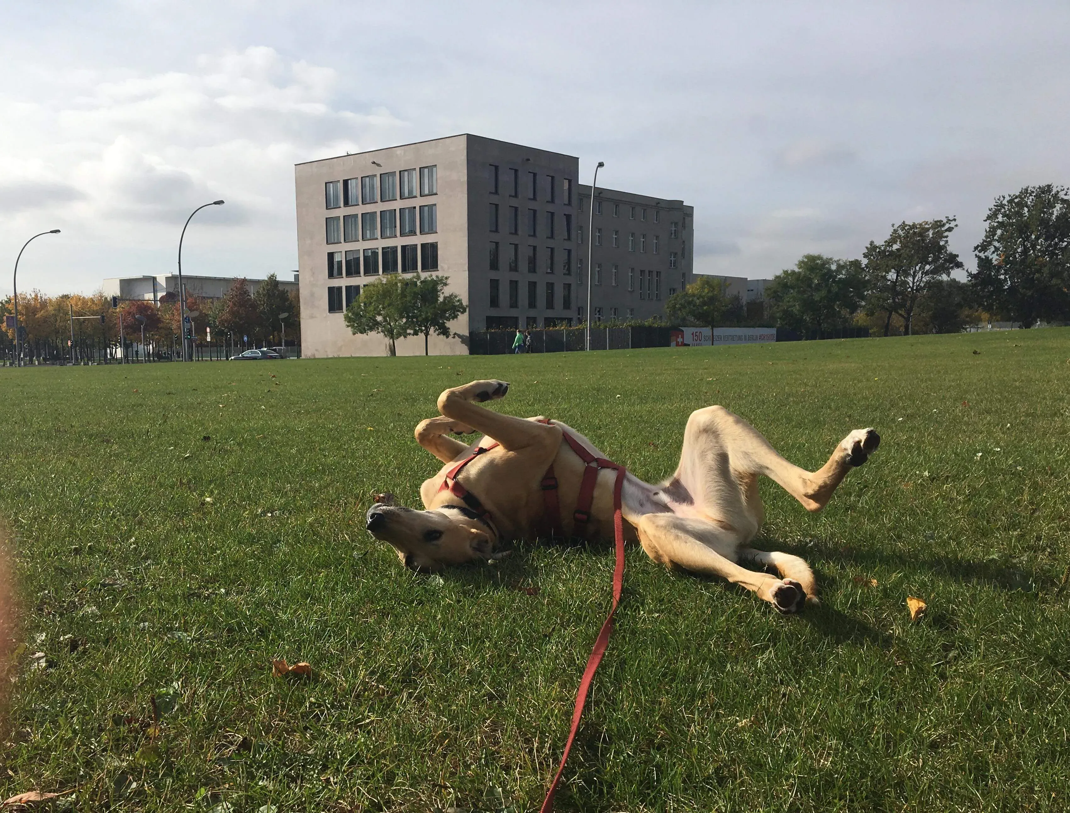 FELICI A CASA PETER10