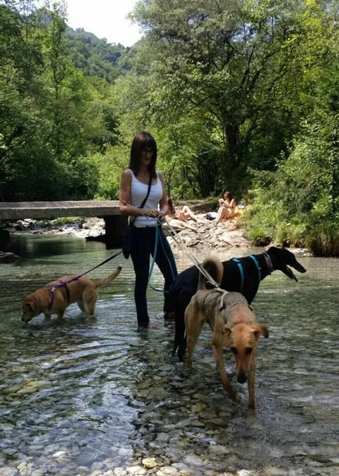 FELICI A CASA STEVE 5