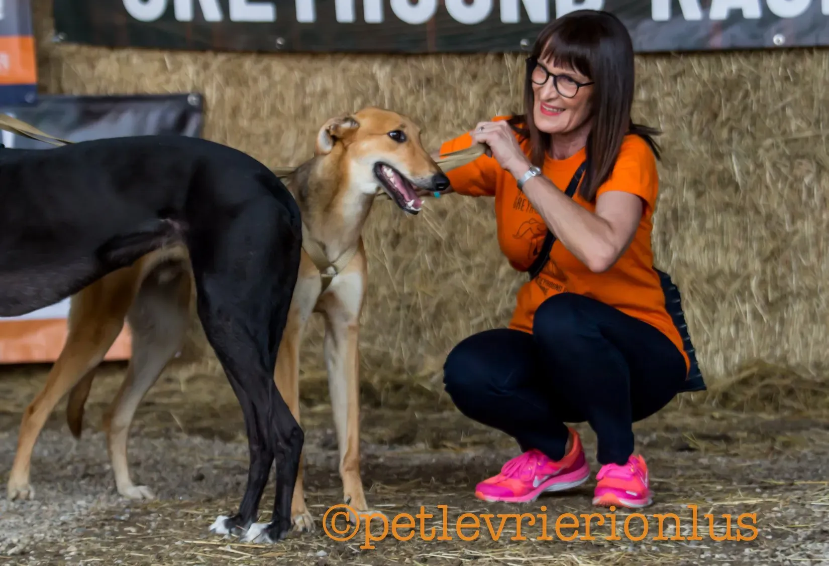 FELICI A CASA STEVE1 1