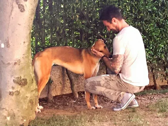 FELICI A CASA STEVE3