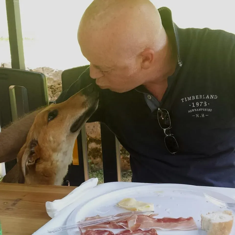 FELICI A CASA STEVE4