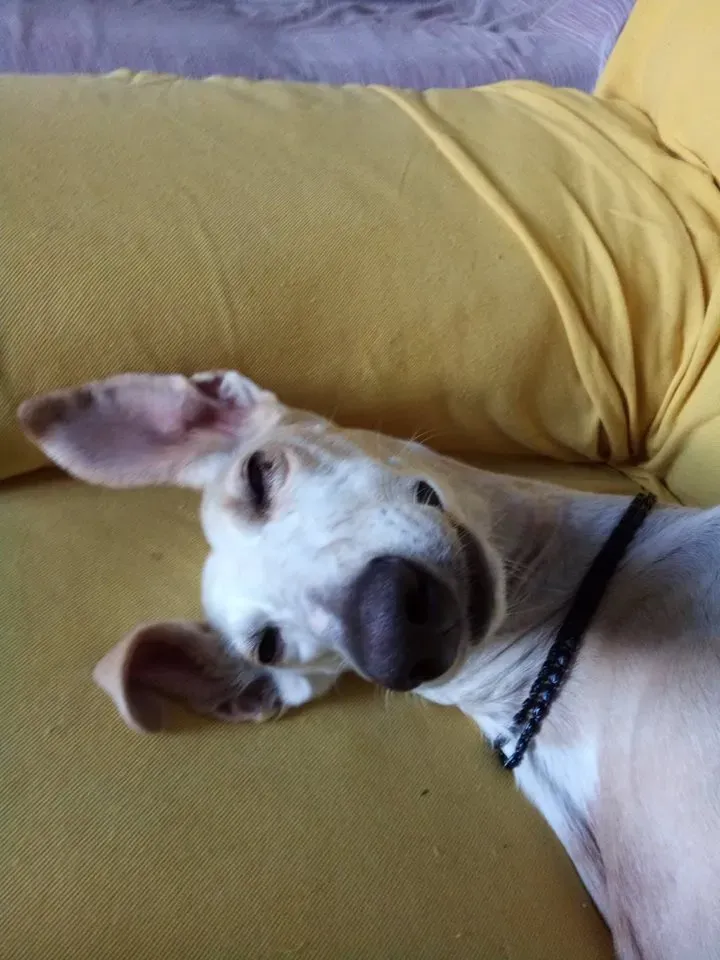 FELICI A CASA TALITA1