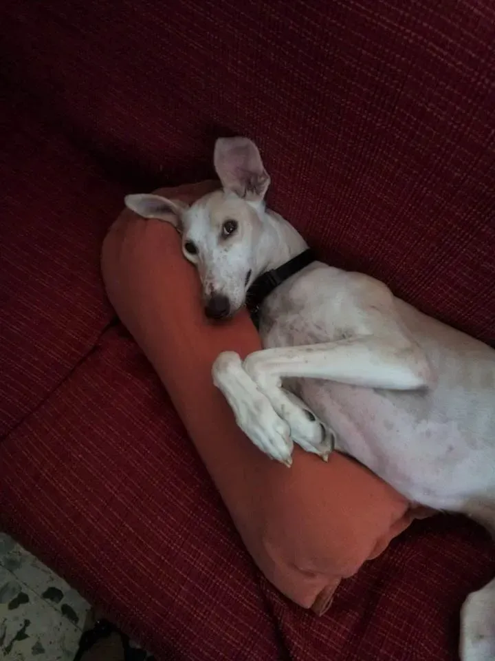 FELICI A CASA TALITA5