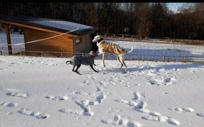 FELICI A CASA VICTOR1