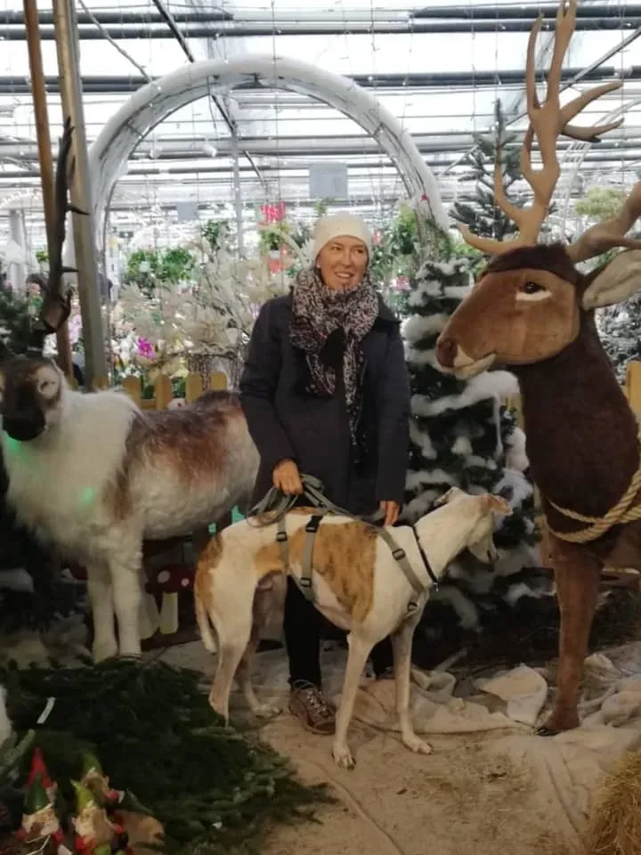 FELICI A CASA VICTOR10