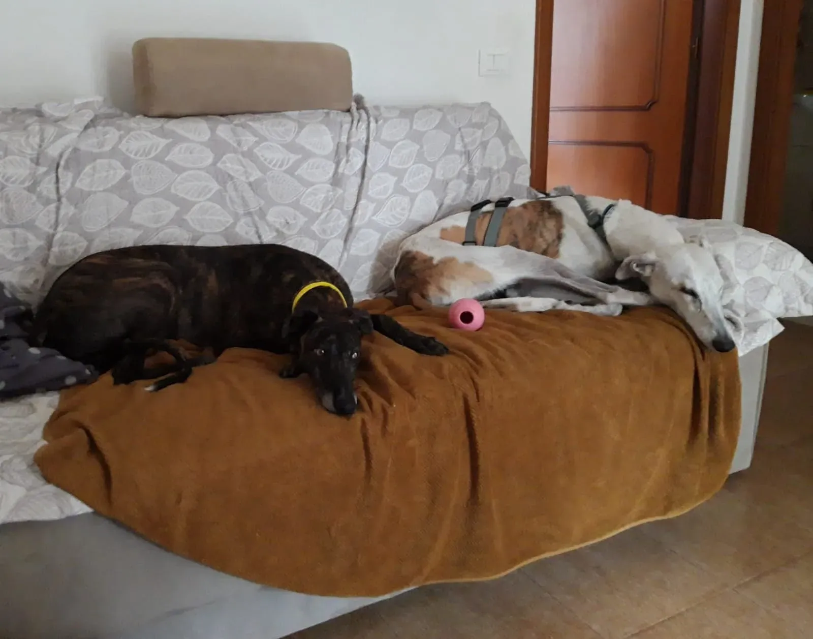 FELICI A CASA VICTOR13