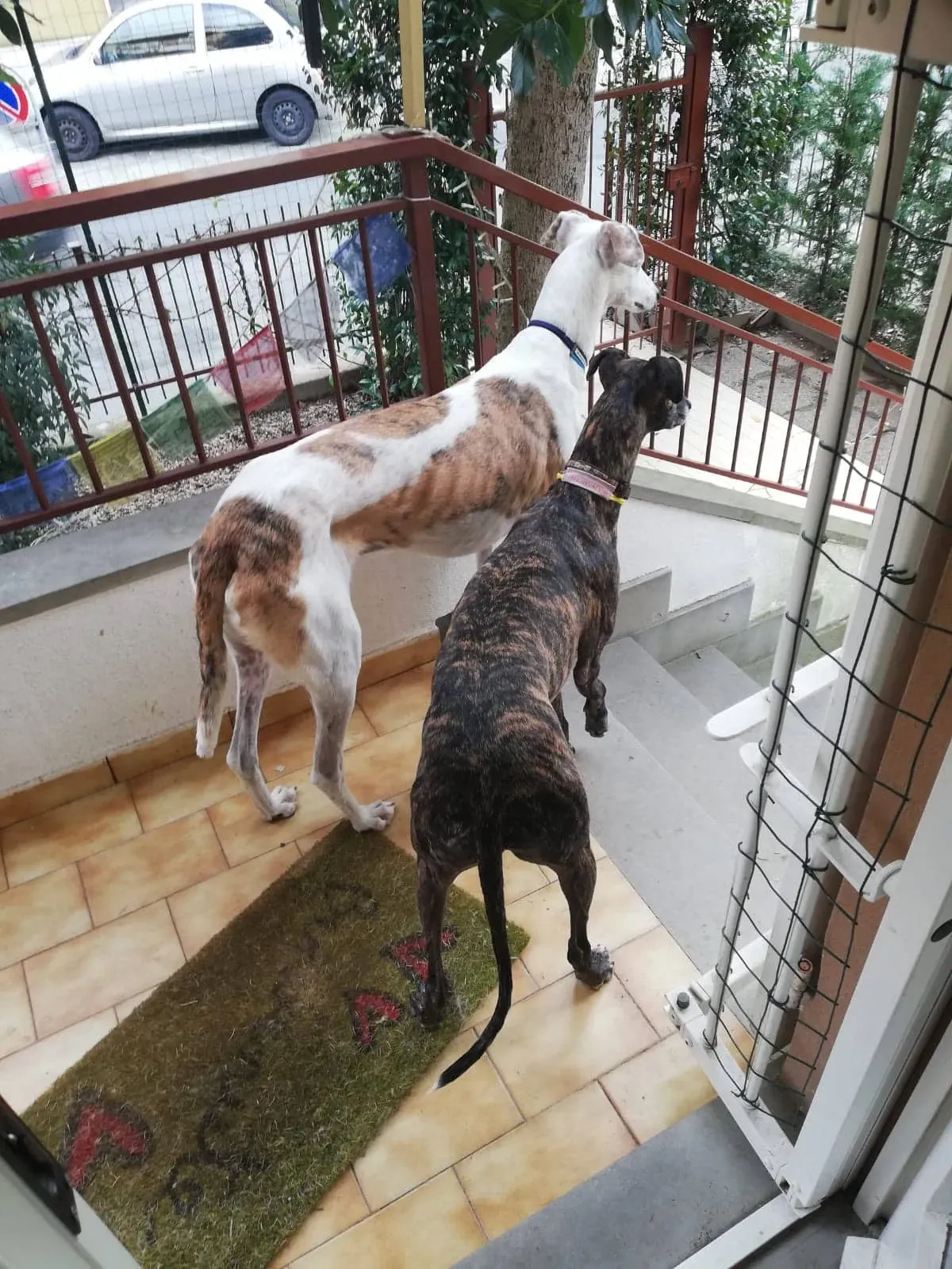 FELICI A CASA VICTOR5