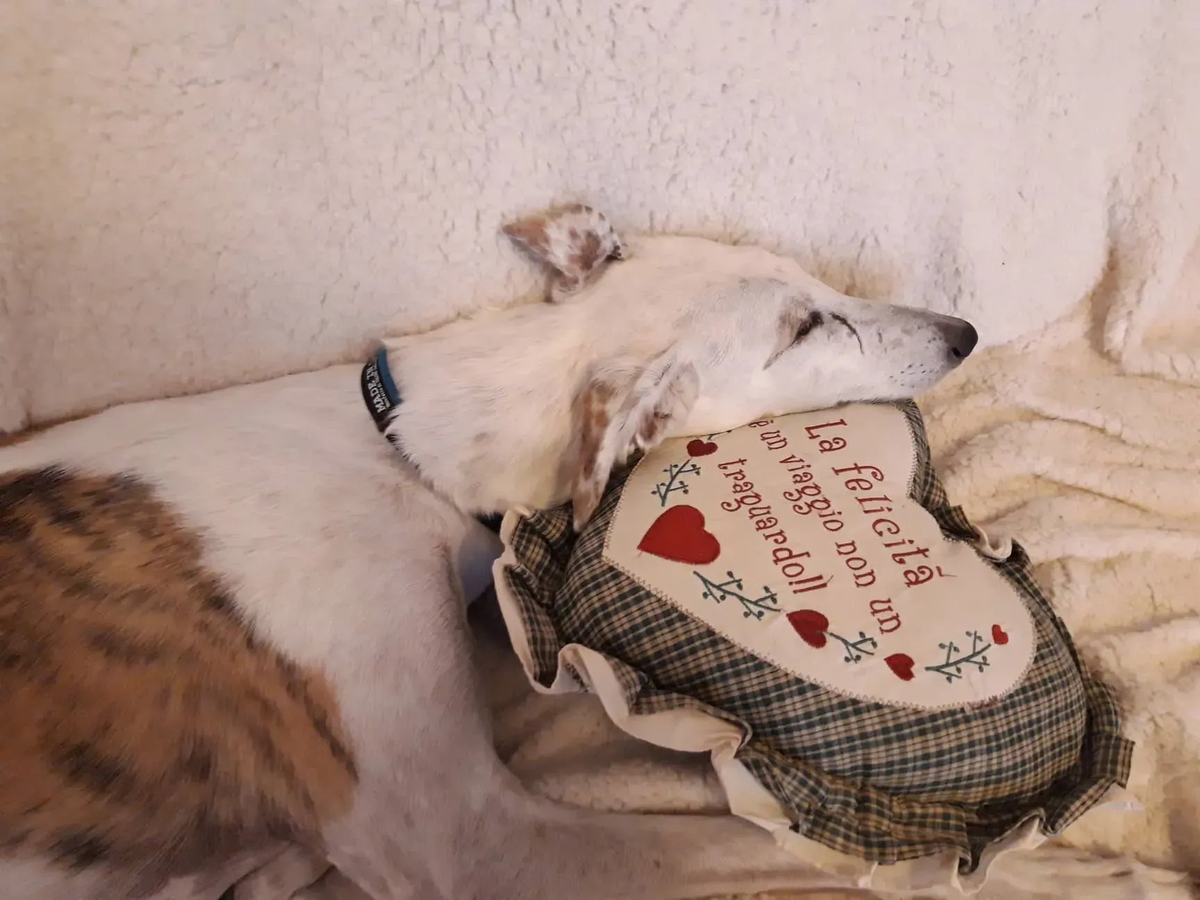 FELICI A CASA VICTOR6