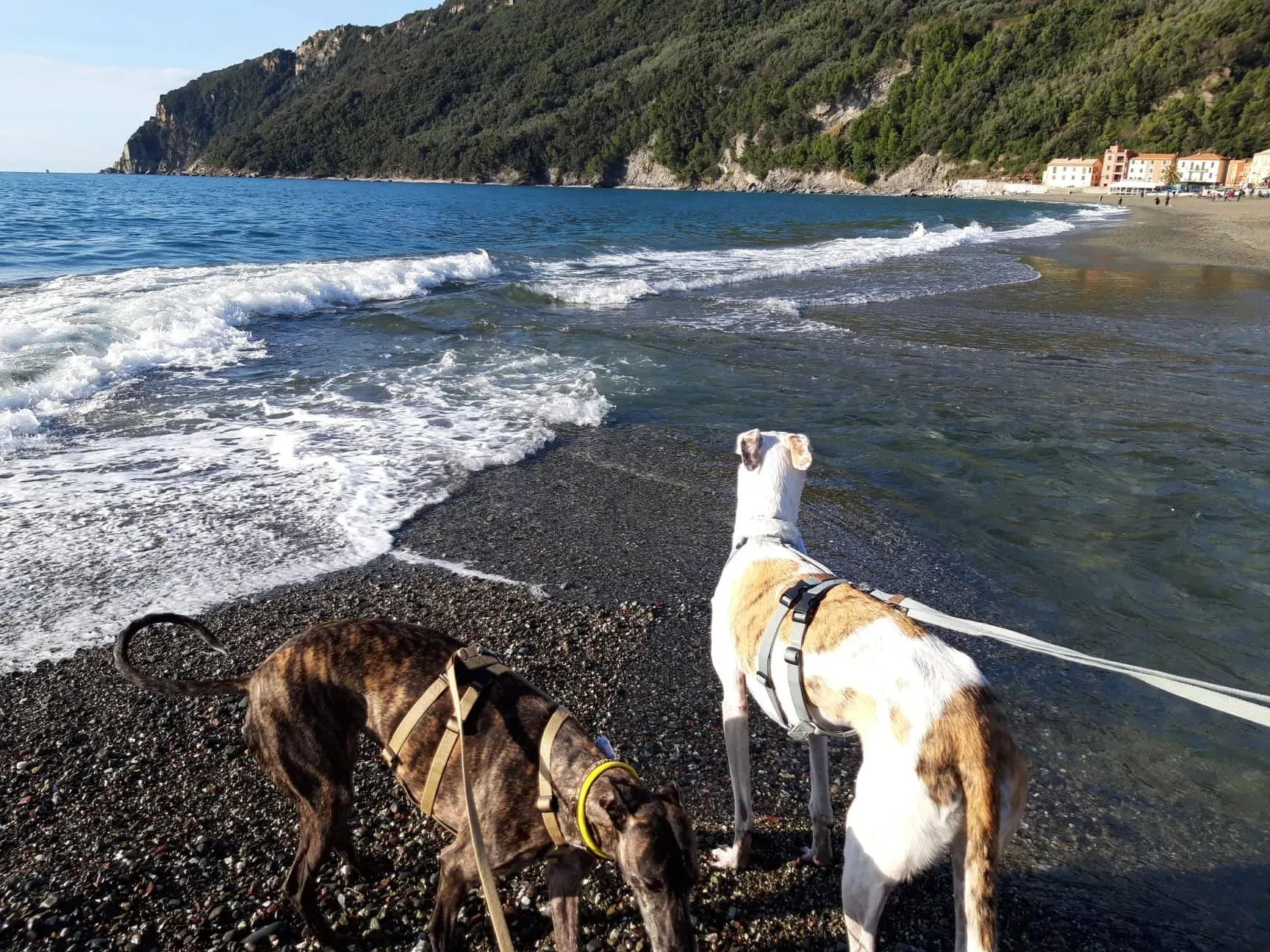 FELICI A CASA VICTOR7