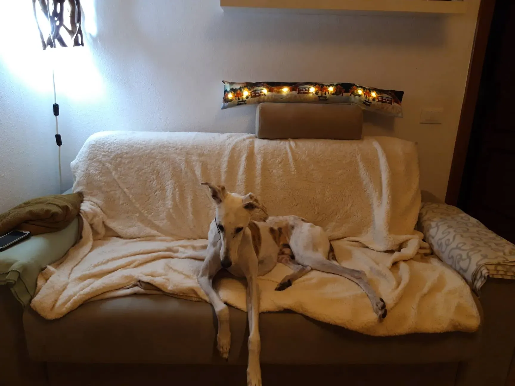 FELICI A CASA VICTOR8