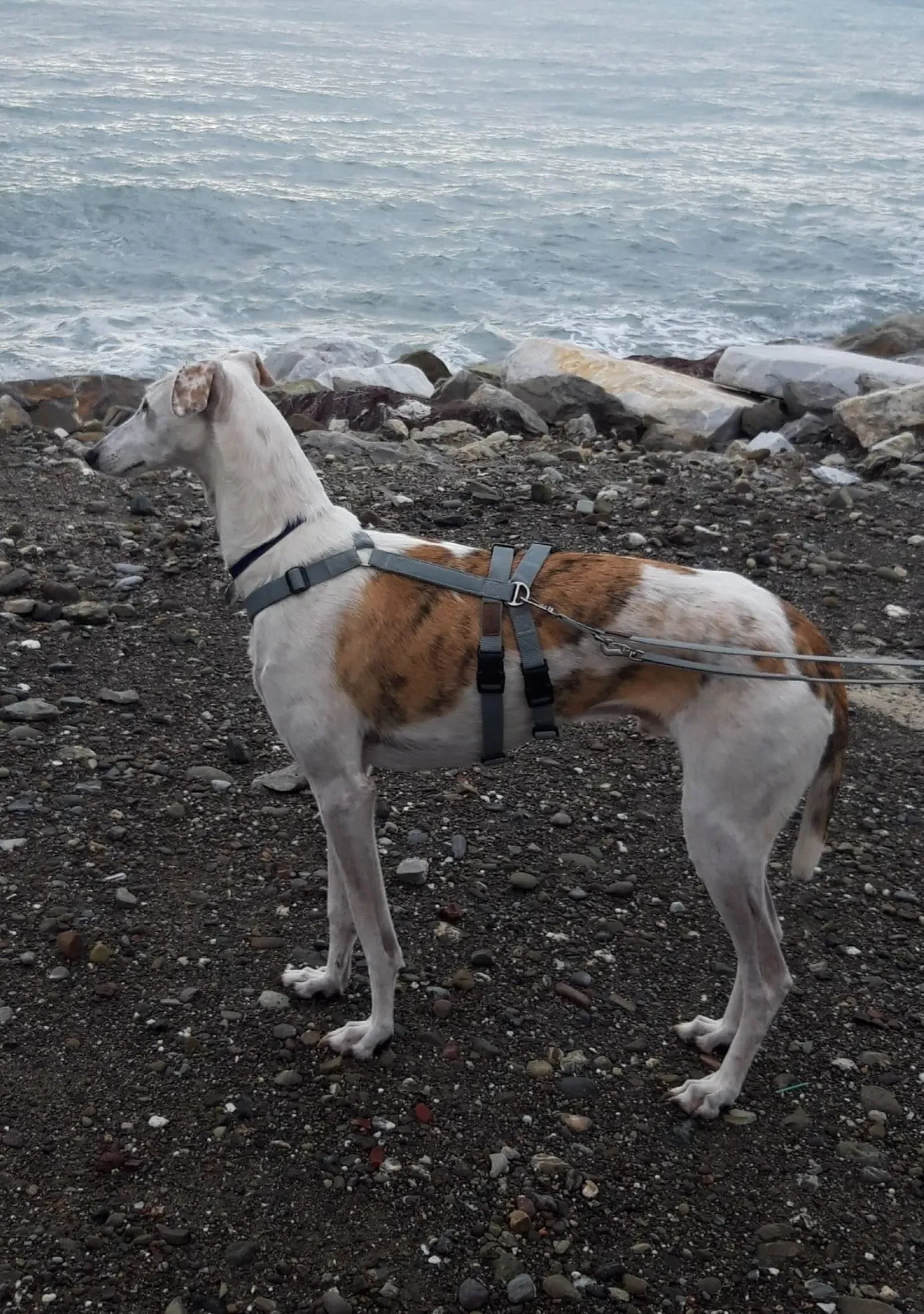 FELICI A CASA VICTOR9 1