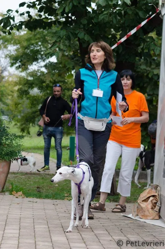 FELICI A CASA doroty1