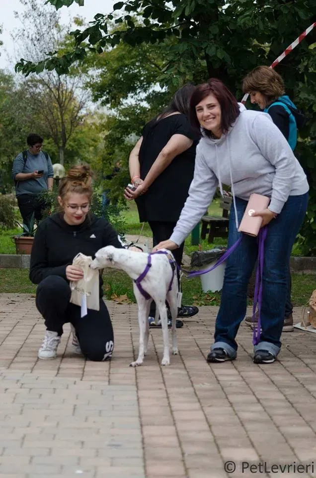FELICI A CASA doroty2
