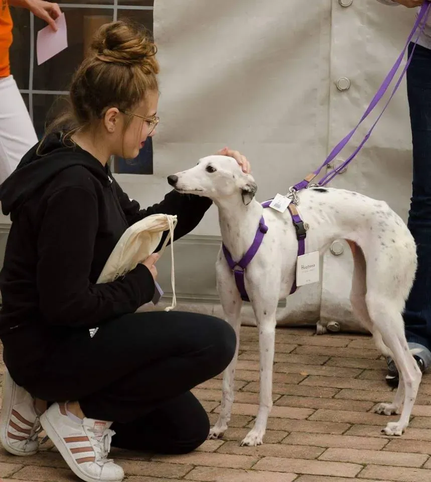 FELICI A CASA doroty3 1