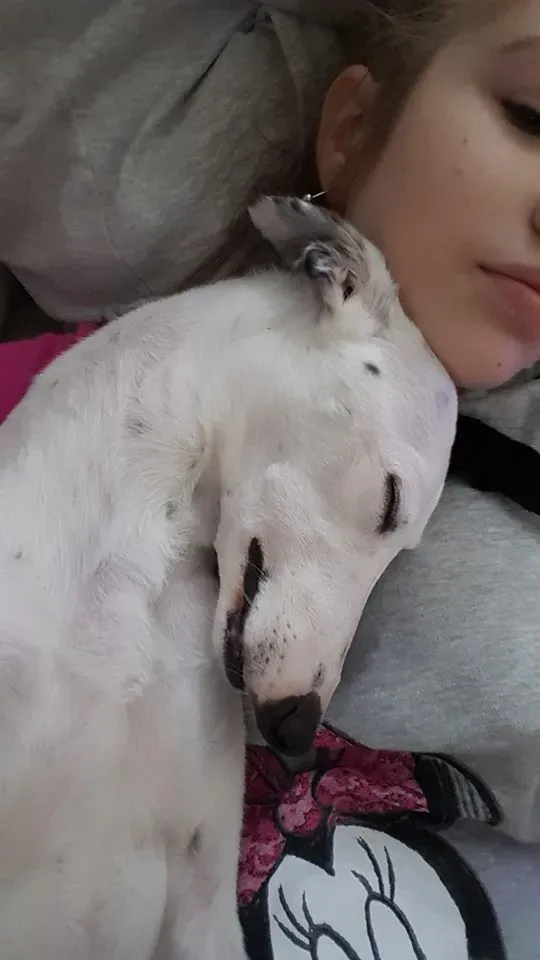 FELICI A CASA doroty5