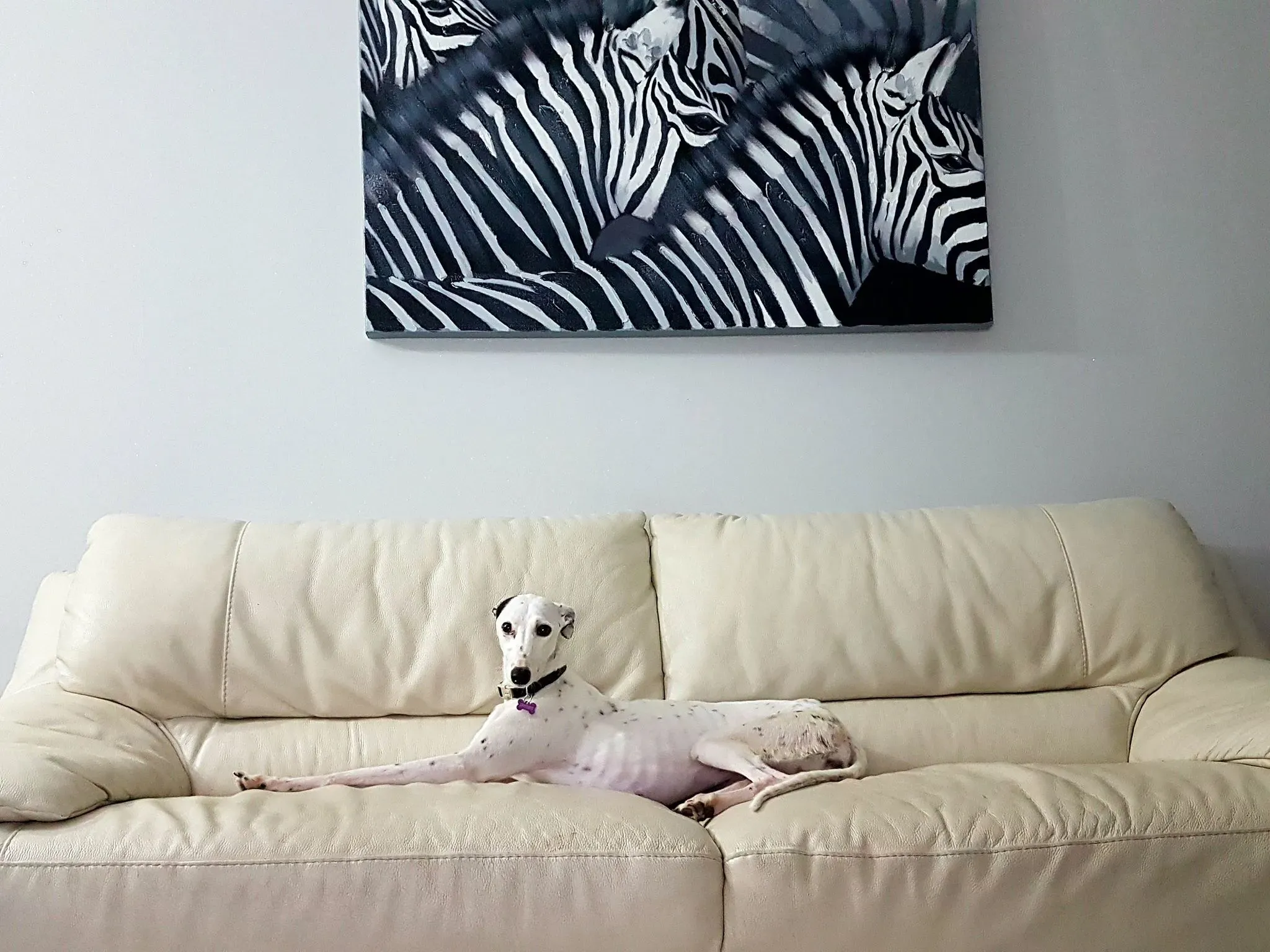 FELICI A CASA doroty8