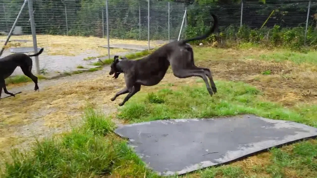 Fotogramma 22 08 2018 09 59 33