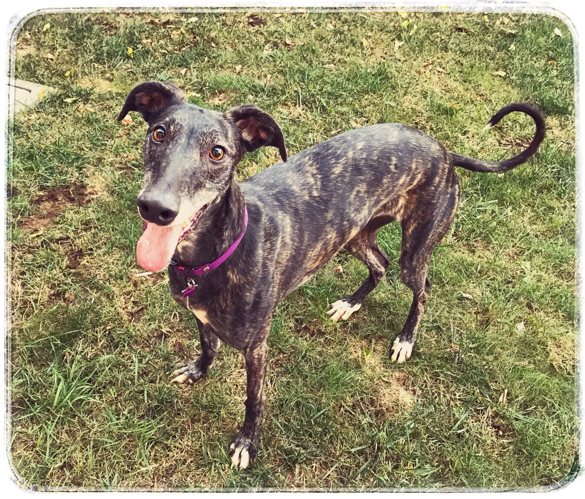 FullSizeRender 06 08 18 21 50 1 1