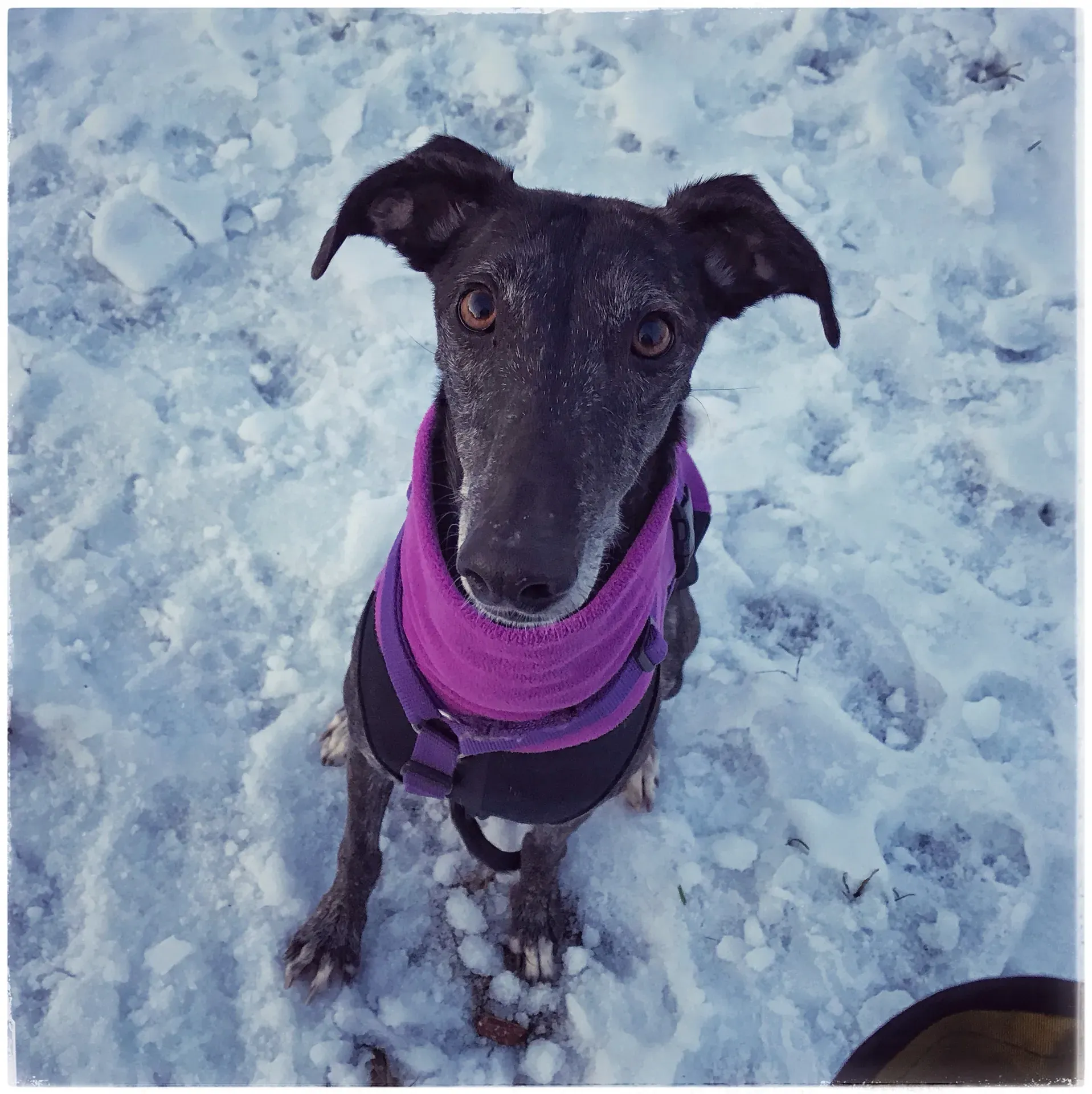 FullSizeRender 06 08 18 21 50 2 1