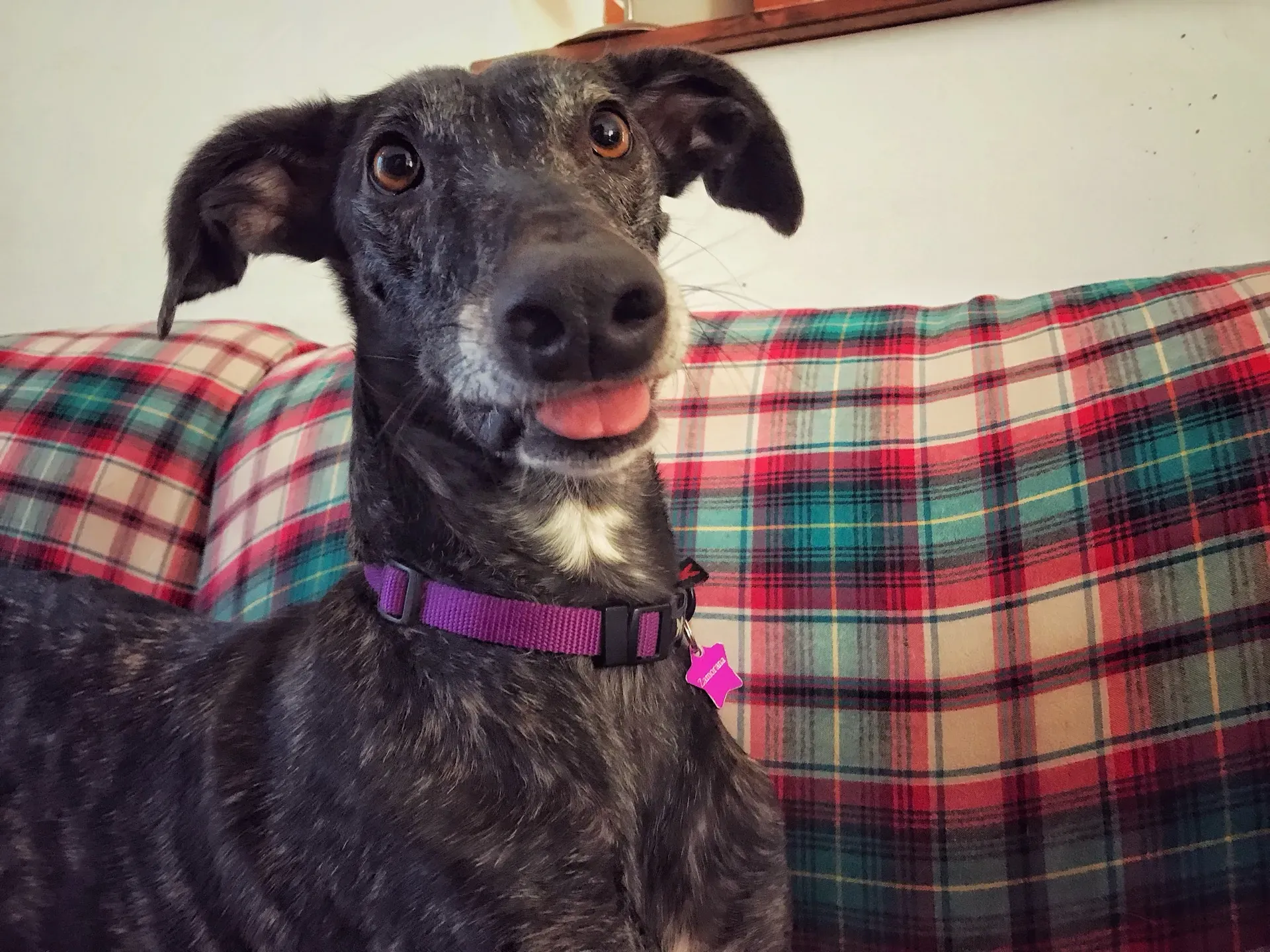 FullSizeRender 06 08 18 21 50 5 1