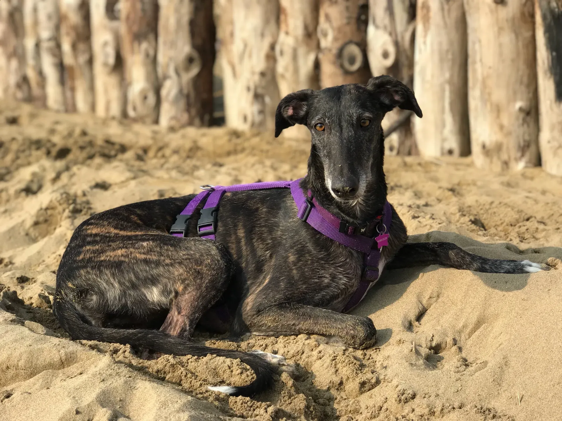 FullSizeRender 06 08 18 21 50 6 1