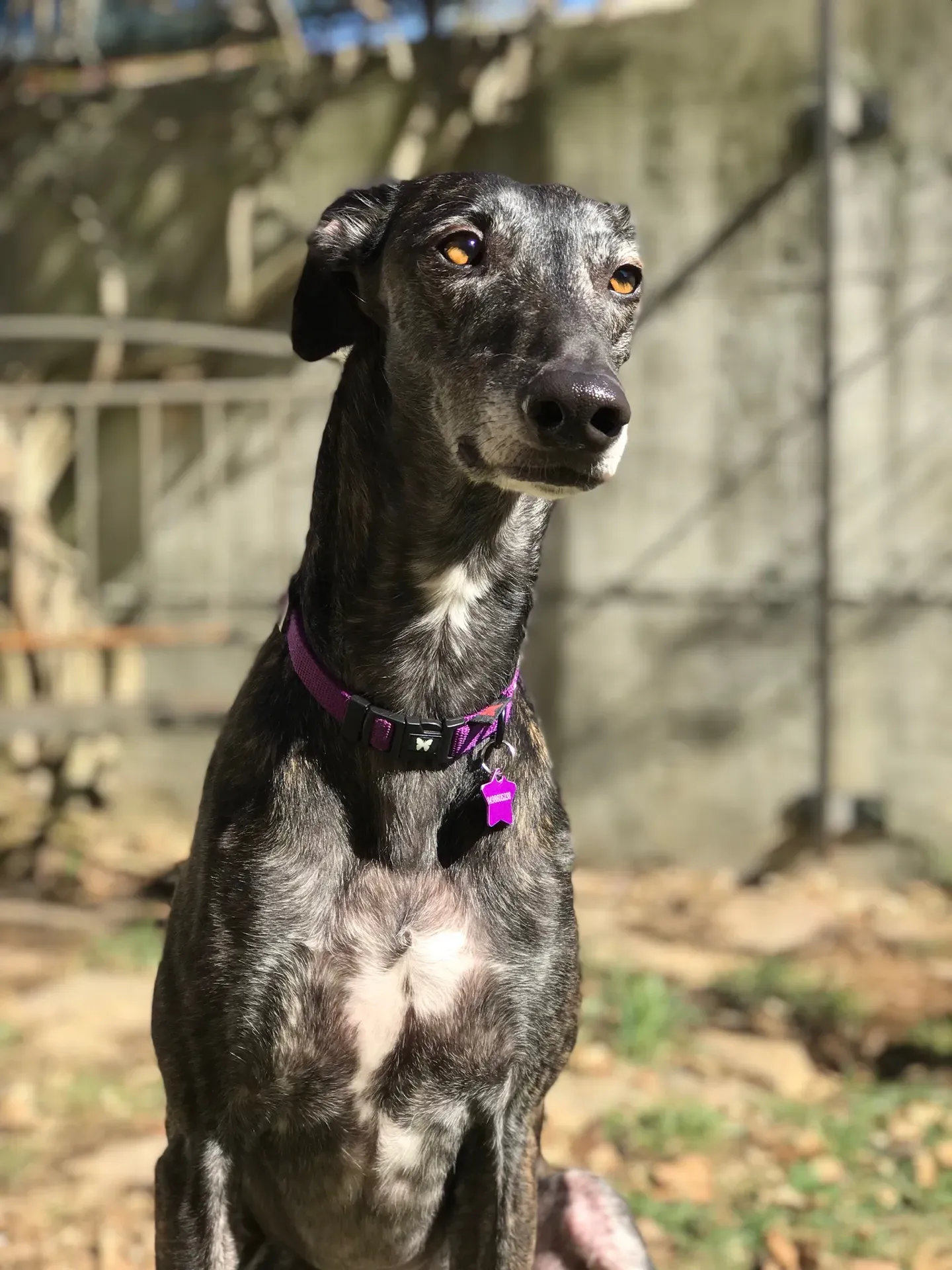 FullSizeRender 06 08 18 21 50 7 1