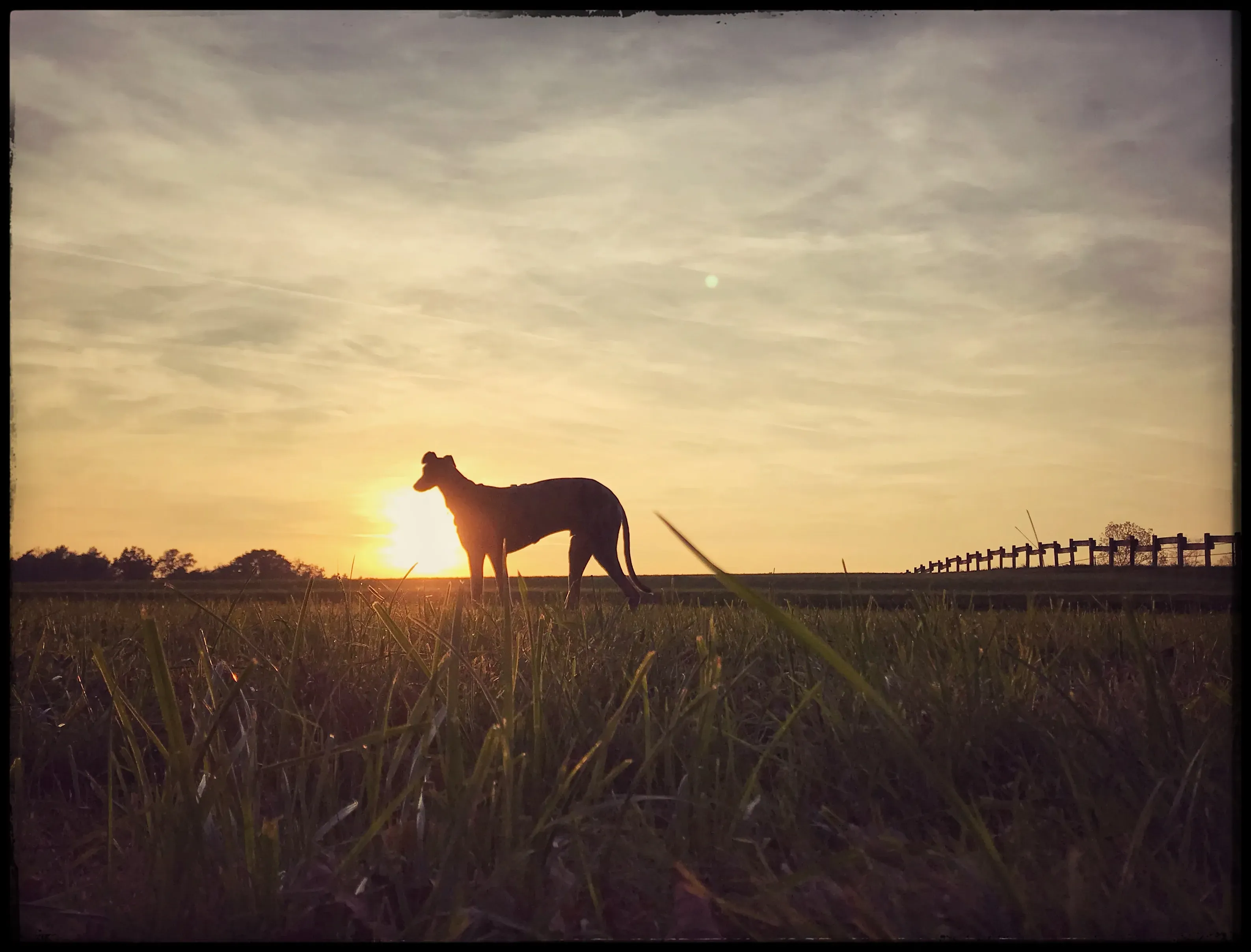 FullSizeRender 06 08 18 21 58 1