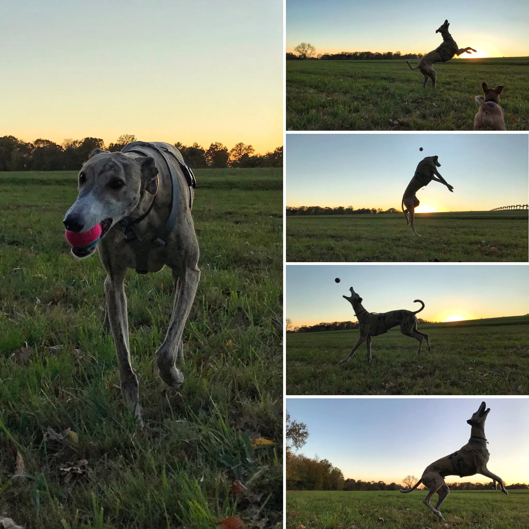 FullSizeRender 06 08 18 21 58 2