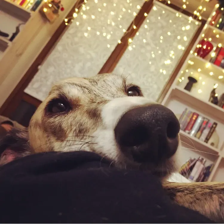 FullSizeRender 06 08 18 21 58