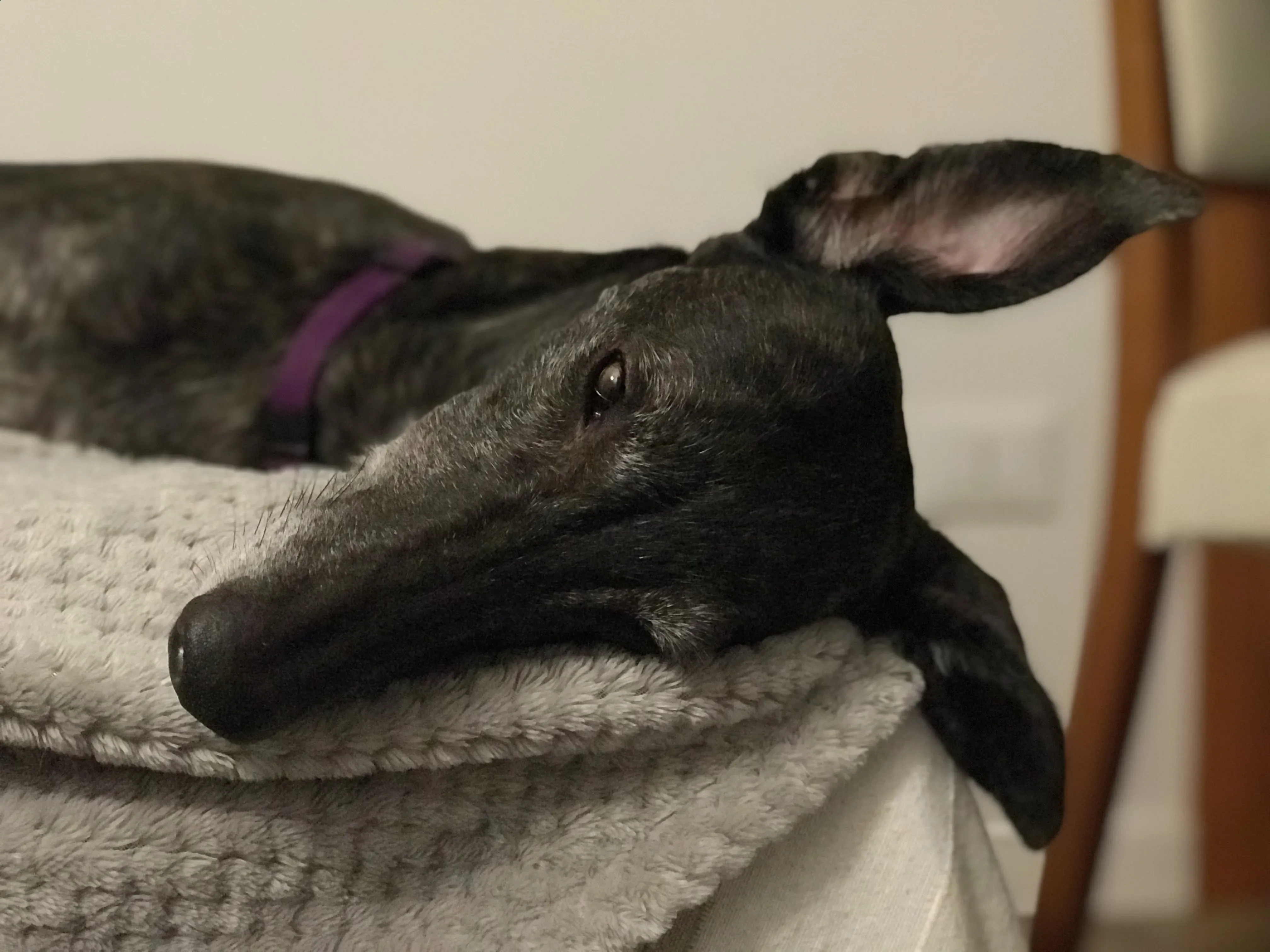 FullSizeRender 07 08 18 22 54 1