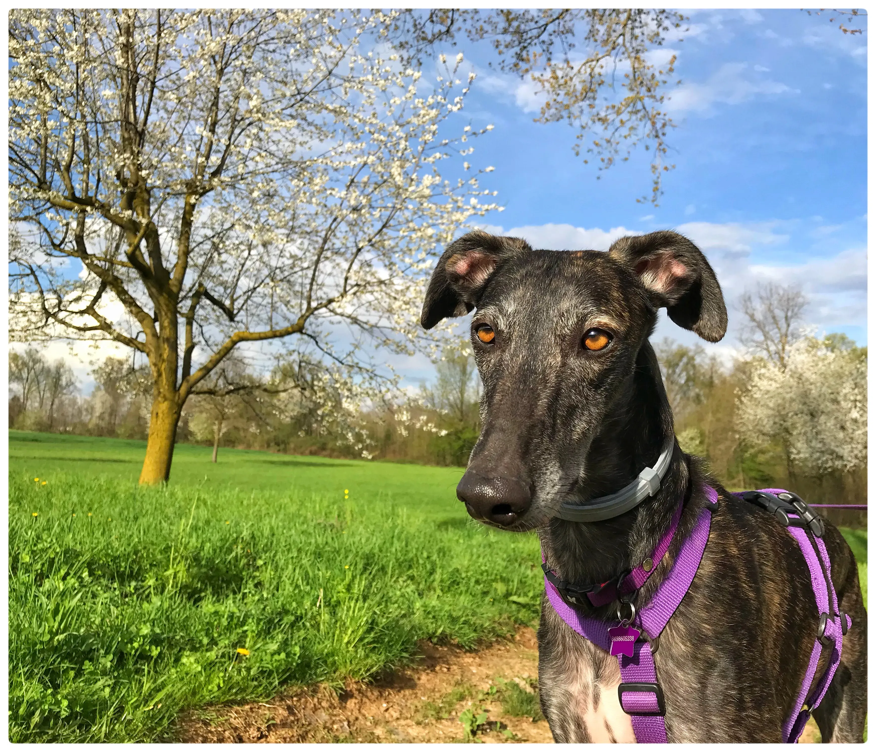 FullSizeRender 07 08 18 22 54 3