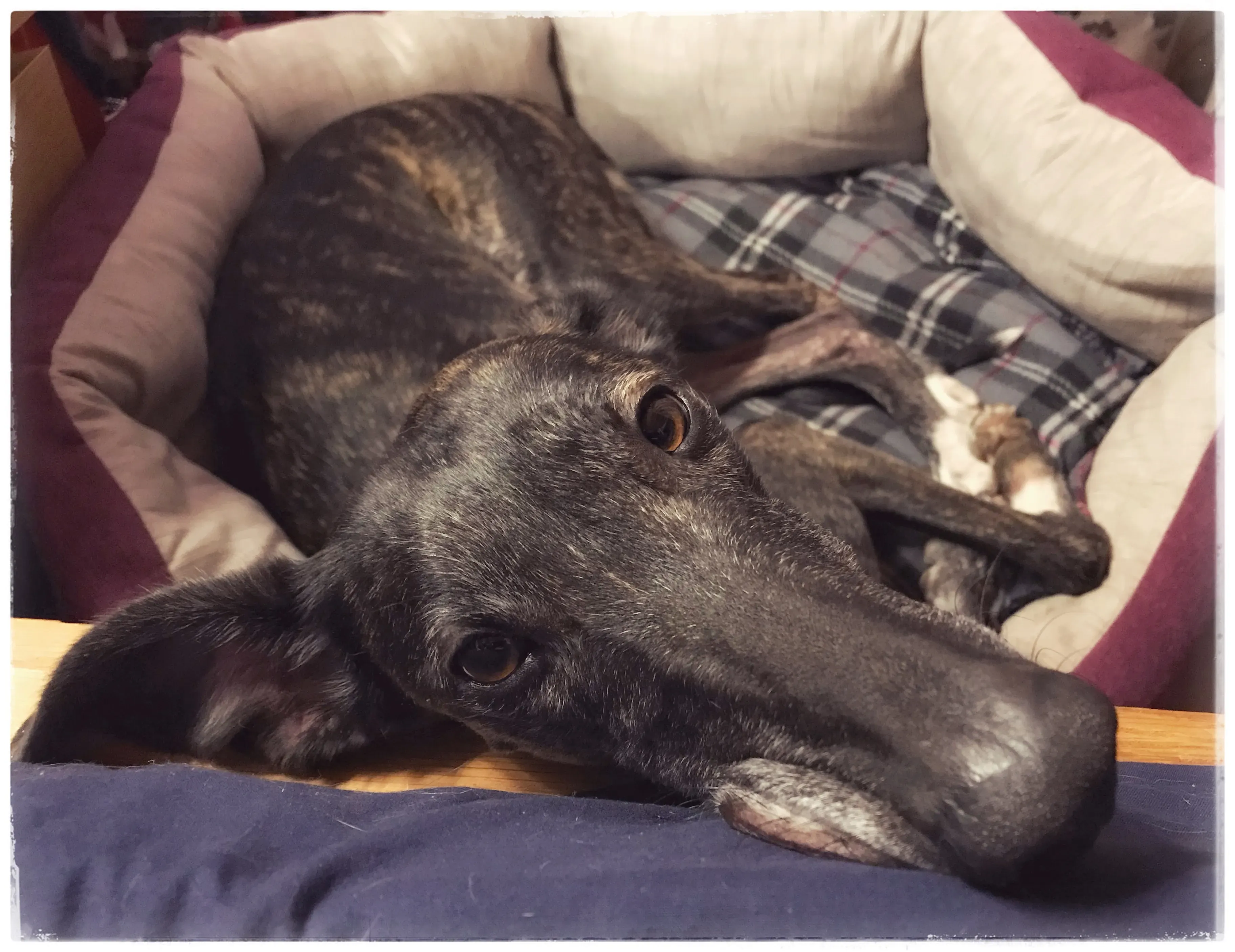 FullSizeRender 07 08 18 22 54