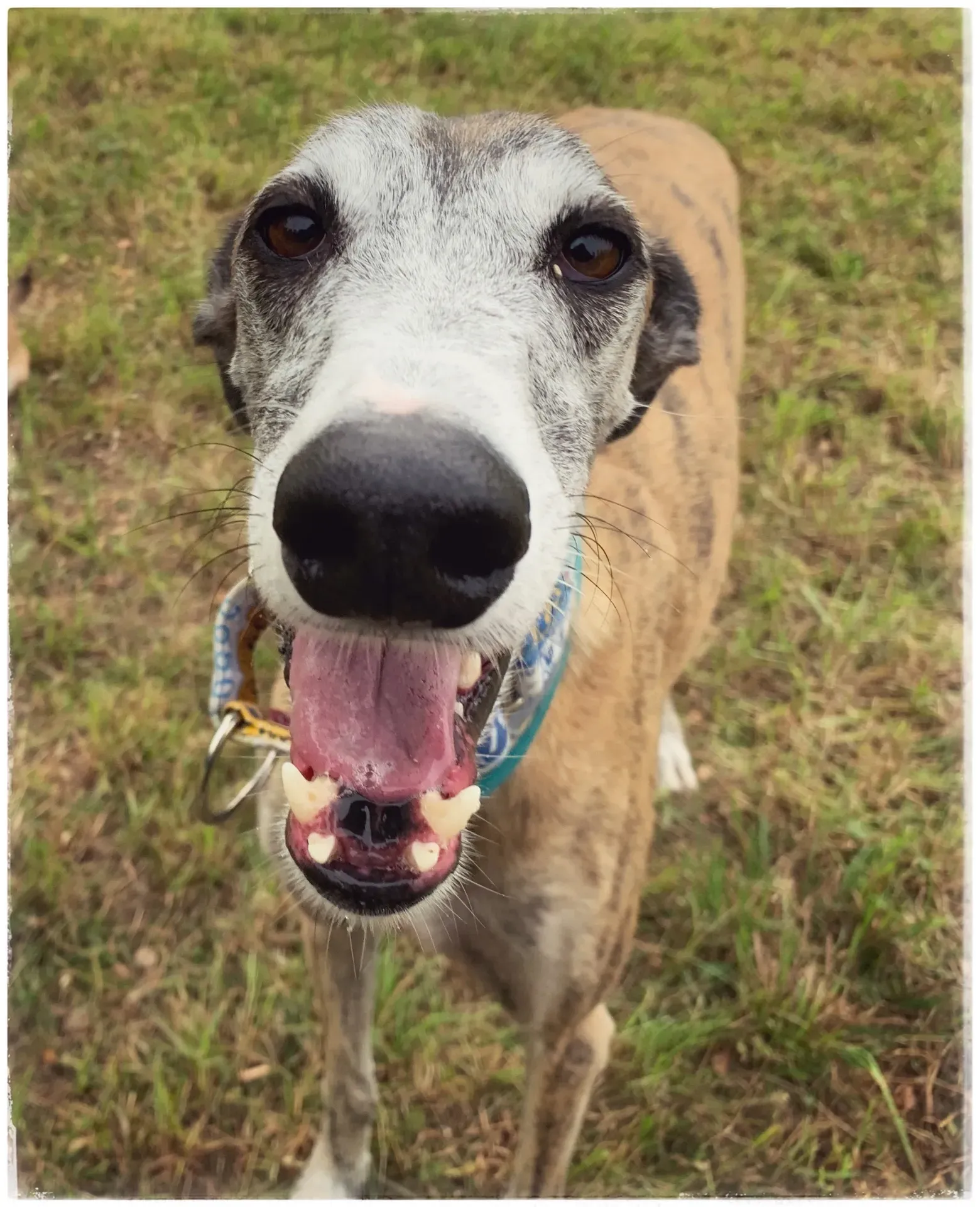 FullSizeRender 09 11 19 14 32 1