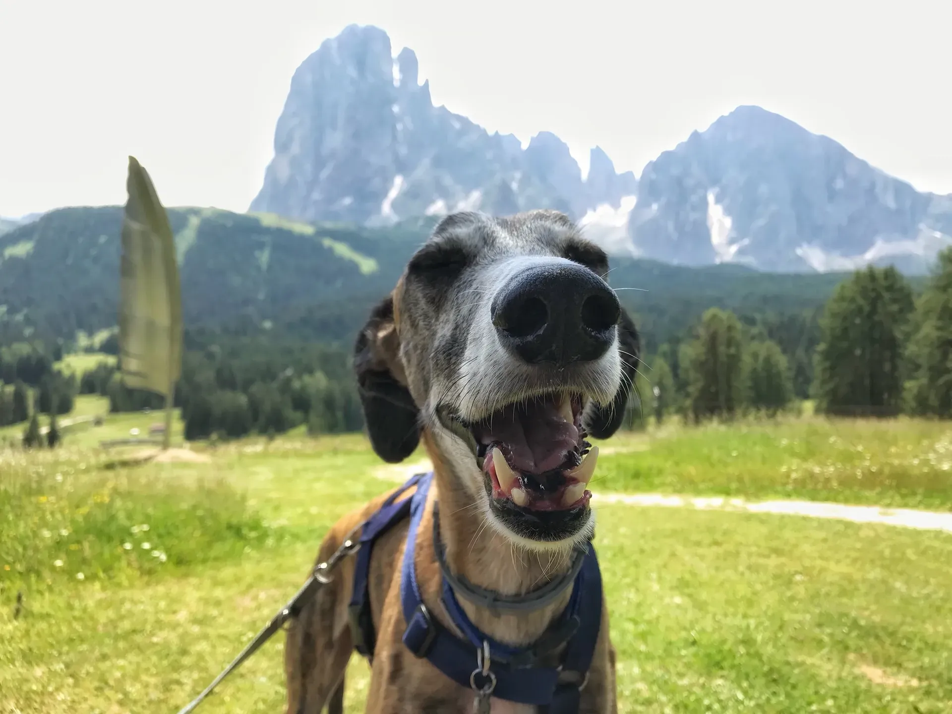 FullSizeRender 09 11 19 14 32