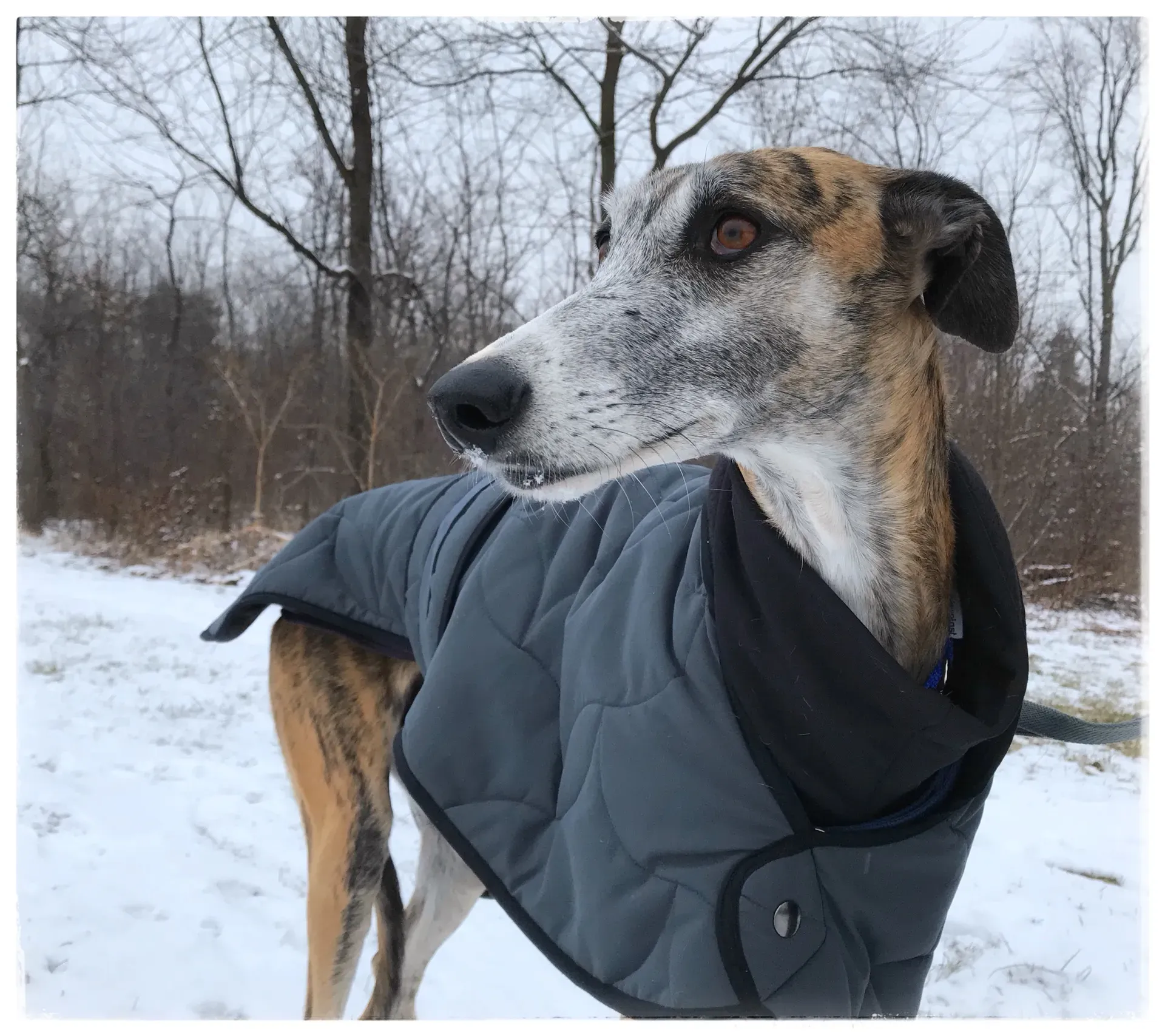 FullSizeRender 10 04 18 15 29 1