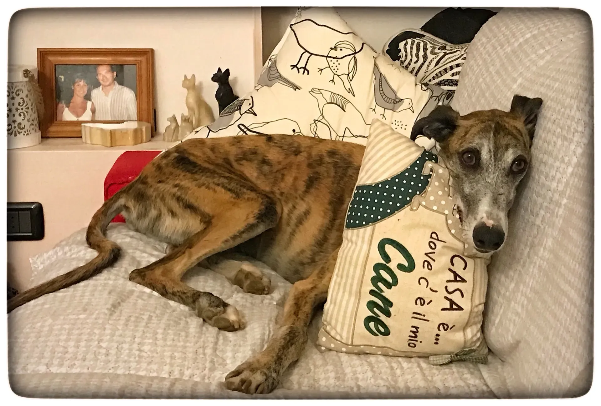 FullSizeRender 10 04 18 15 29 2